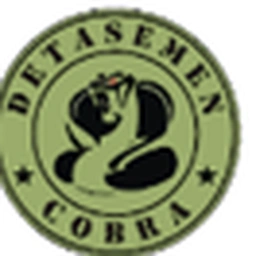 CLUB AIRSOFT DETASEMEN COBRA